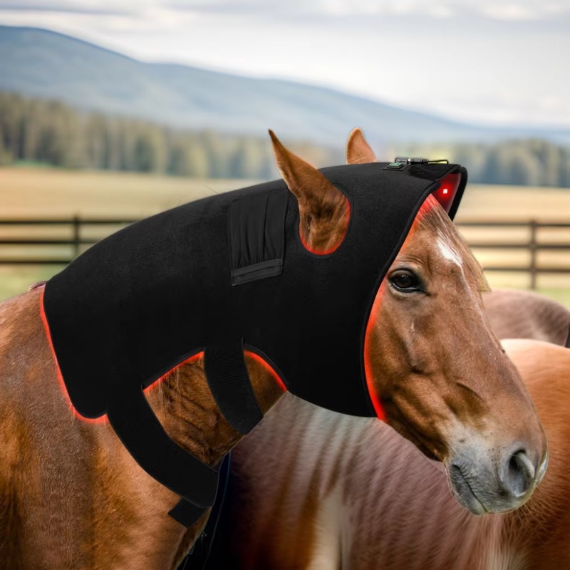Red Light Vet Therapy for Hors - Pet Supplies Near recension och pris