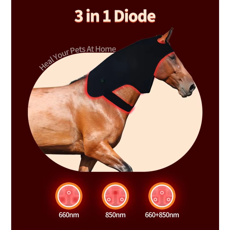 Red Light Vet Therapy for Hors - Pet Supplies Near recension och pris